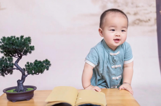 嘉兴可爱的企鹅宝宝